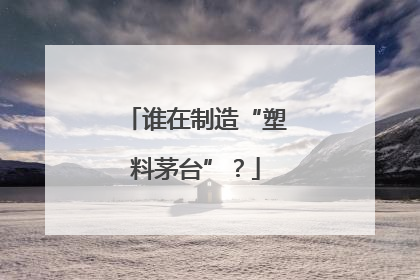 谁在制造“塑料茅台”？
