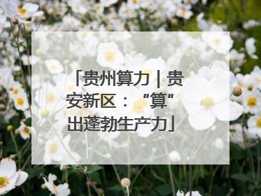 贵州算力｜贵安新区：“算”出蓬勃生产力