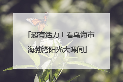 超有活力！看乌海市海勃湾阳光大课间