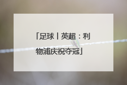 足球丨英超：利物浦庆祝夺冠
