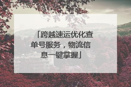 跨越速运优化查单号服务，物流信息一键掌握