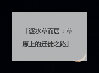 逐水草而居：草原上的迁徙之路