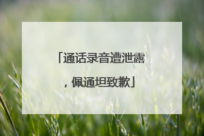 通话录音遭泄露，佩通坦致歉