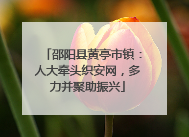 邵阳县黄亭市镇：人大牵头织安网，多力并聚助振兴