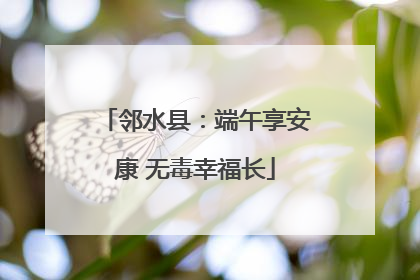 邻水县：端午享安康 无毒幸福长