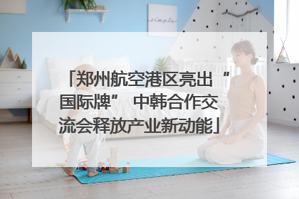 郑州航空港区亮出“国际牌” 中韩合作交流会释放产业新动能