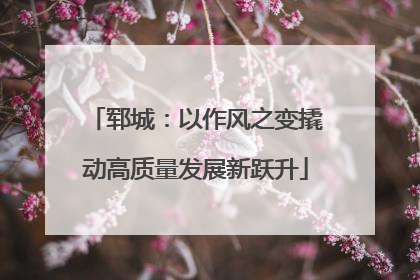 郓城：以作风之变撬动高质量发展新跃升