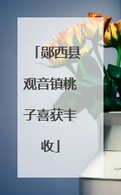 郧西县观音镇桃子喜获丰收