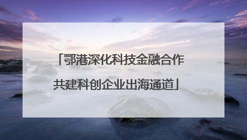 鄂港深化科技金融合作 共建科创企业出海通道