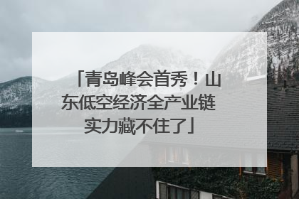 青岛峰会首秀！山东低空经济全产业链实力藏不住了