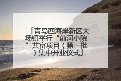 青岛西海岸新区大场镇举行“前河小院”共富项目（第一批）集中开业仪式
