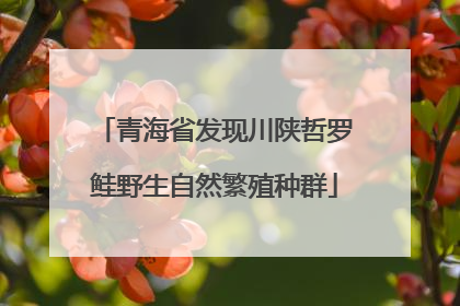 青海省发现川陕哲罗鲑野生自然繁殖种群
