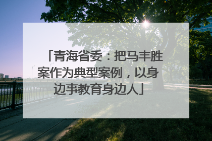 青海省委：把马丰胜案作为典型案例，以身边事教育身边人