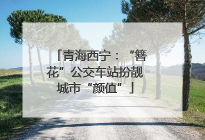 青海西宁：“簪花”公交车站扮靓城市“颜值”