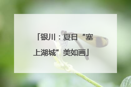 银川：夏日“塞上湖城”美如画