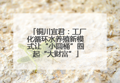 铜川宜君：工厂化循环水养殖新模式让“小圆桶”圈起“大财富”
