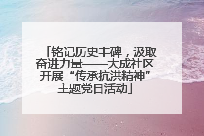 铭记历史丰碑，汲取奋进力量——大成社区开展“传承抗洪精神”主题党日活动