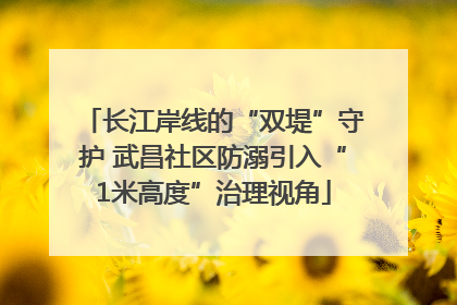 长江岸线的“双堤”守护 武昌社区防溺引入“1米高度”治理视角