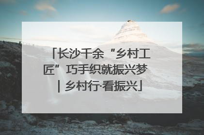 长沙千余“乡村工匠”巧手织就振兴梦｜乡村行·看振兴