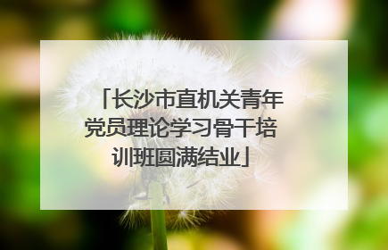 长沙市直机关青年党员理论学习骨干培训班圆满结业