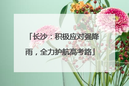 长沙：积极应对强降雨，全力护航高考路