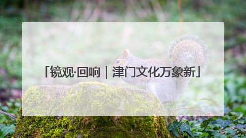 镜观·回响｜津门文化万象新