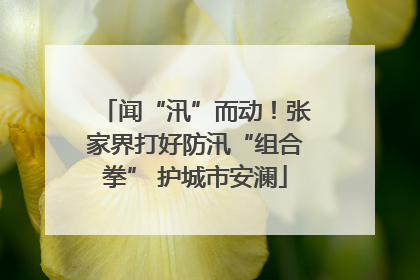 闻“汛”而动！张家界打好防汛“组合拳” 护城市安澜
