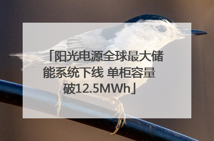 阳光电源全球最大储能系统下线 单柜容量破12.5MWh