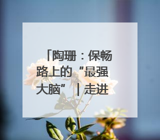陶珊：保畅路上的“最强大脑”｜走进新时代“雷锋传人 长沙榜样”