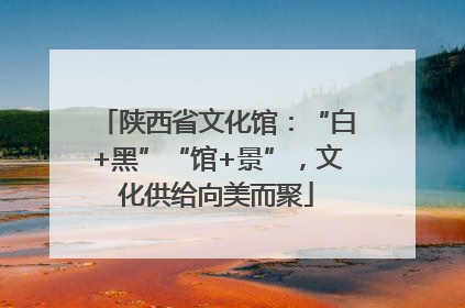 陕西省文化馆：“白+黑”“馆+景”，文化供给向美而聚
