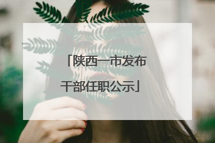 陕西一市发布干部任职公示