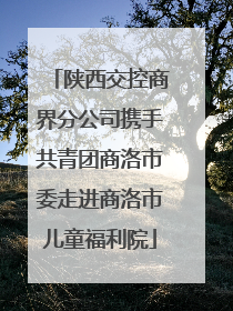 陕西交控商界分公司携手共青团商洛市委走进商洛市儿童福利院