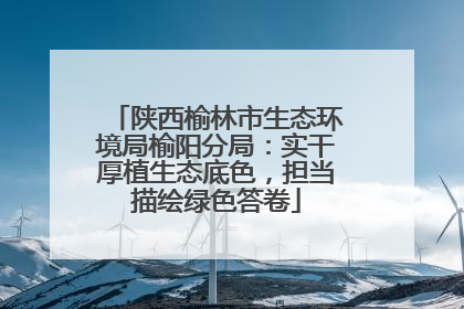 陕西榆林市生态环境局榆阳分局：实干厚植生态底色，担当描绘绿色答卷