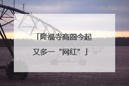 隆福寺商圈今起又多一“网红”