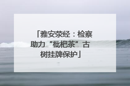 雅安荥经：检察助力“枇杷茶”古树挂牌保护