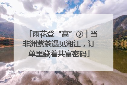 雨花登“高”②｜当非洲紫茶遇见湘江，订单里藏着共富密码