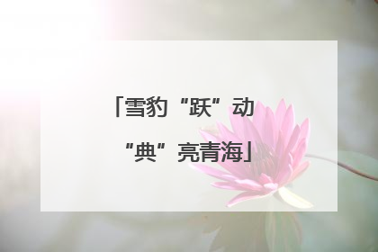 雪豹“跃”动 “典”亮青海