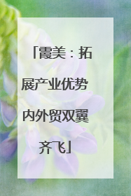 霞美：拓展产业优势内外贸双翼齐飞