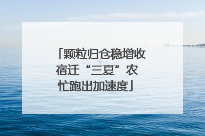 颗粒归仓稳增收 宿迁“三夏”农忙跑出加速度