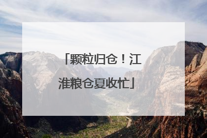 颗粒归仓！江淮粮仓夏收忙