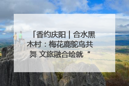 香约庆阳｜合水黑木村：梅花鹿鸵鸟共舞 文旅融合绘就“诗与远方”