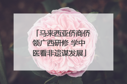 马来西亚侨商侨领广西研修 学中医看非遗谋发展
