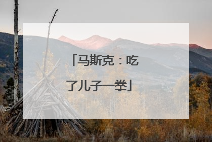 马斯克：吃了儿子一拳