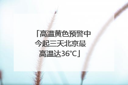 高温黄色预警中 今起三天北京最高温达36℃