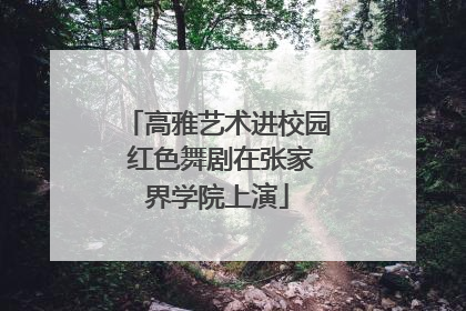 高雅艺术进校园 红色舞剧在张家界学院上演