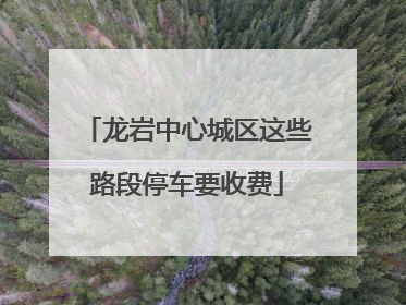 龙岩中心城区这些路段停车要收费