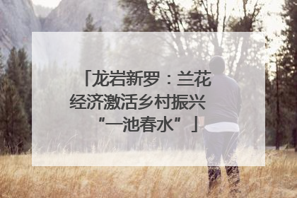 龙岩新罗：兰花经济激活乡村振兴“一池春水”