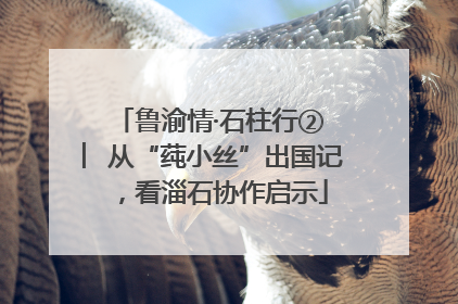 鲁渝情·石柱行② ︳从“莼小丝”出国记，看淄石协作启示