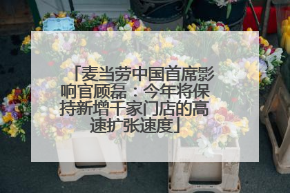 麦当劳中国首席影响官顾磊：今年将保持新增千家门店的高速扩张速度