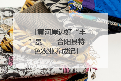黄河岸边好“丰”景——合阳县特色农业养成记